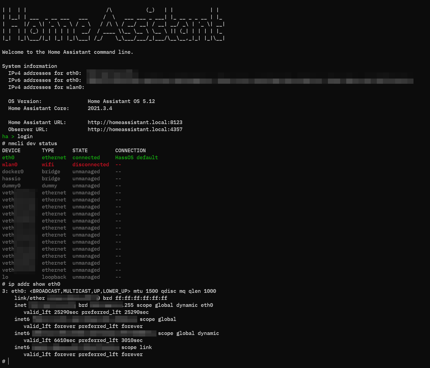 Ermittlung der Netzwerkkonfiguration in HassOS